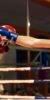 Federación de Boxeo Región de Murcia — artes marciales-studio en Murcia — 3