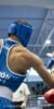 Federación de Boxeo Región de Murcia — artes marciales-studio en Murcia — 4